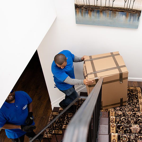 Seen from above, two Gotham movers handing a taped box down a carpeted staircase