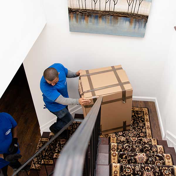 Seen from above, a Gotham mover carrying a taped box up a carpeted staircase, a painting on the wall